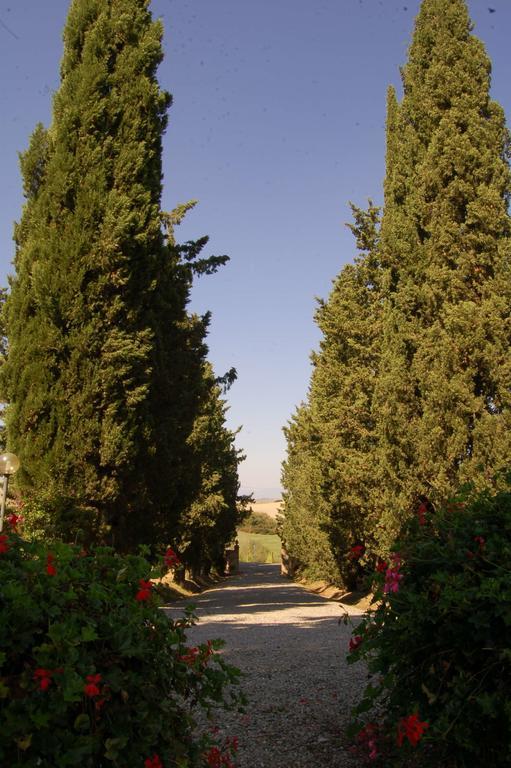 Agriturismo San Francesco Amalia And Anna Orciatico Екстер'єр фото