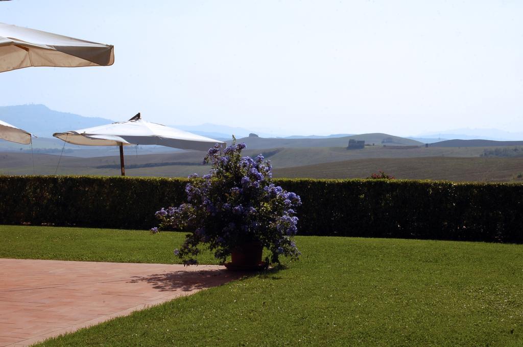Agriturismo San Francesco Amalia And Anna Orciatico Екстер'єр фото